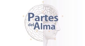 Lee más sobre el artículo ¿Por qué un taller sobre las “Partes del Alma”?