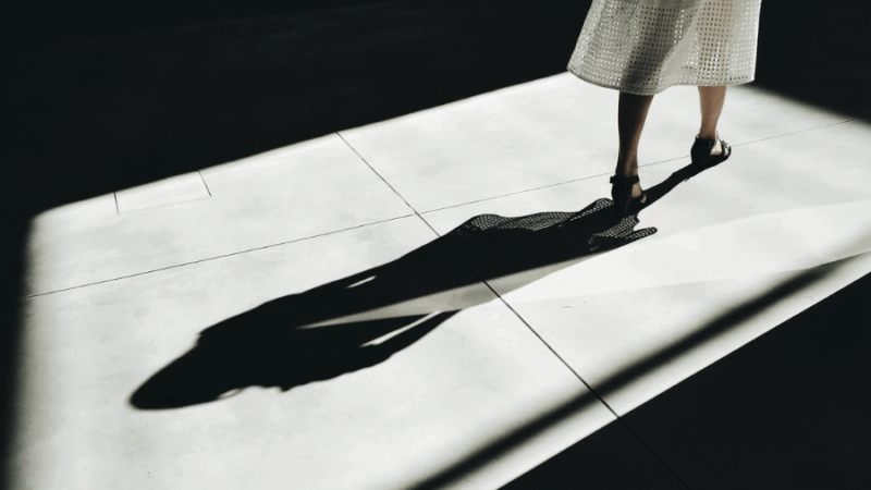 La sombra como maestra del alma
