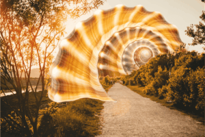 Lee más sobre el artículo Los 5 dolores que te bloquean (y cómo Kamino los transforma en poder)