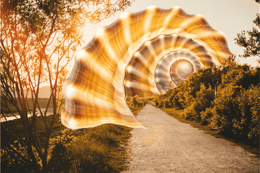 En este momento estás viendo Los 5 dolores que te bloquean (y cómo Kamino los transforma en poder)