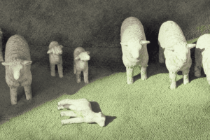 Lee más sobre el artículo Ovejas negras del árbol genealógico: por qué romper patrones familiares es un acto de evolución